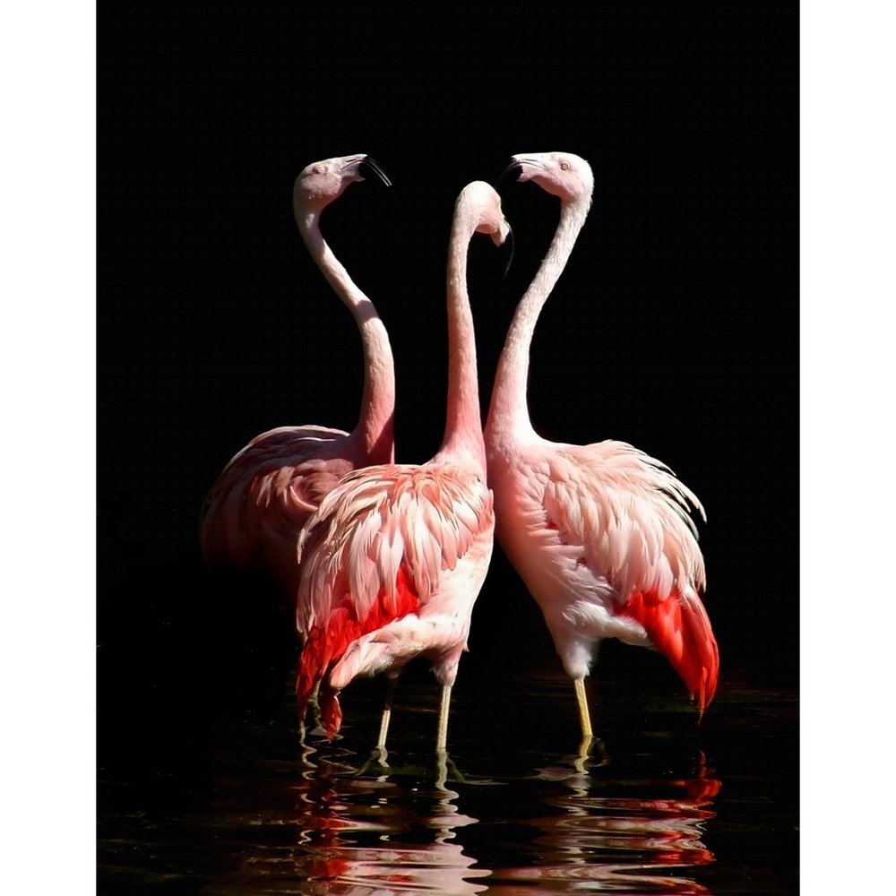 The Meeting  11 x 14 print